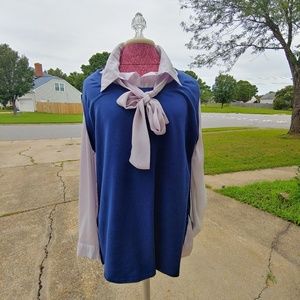 Light weight sweater, chiffon style sleeves